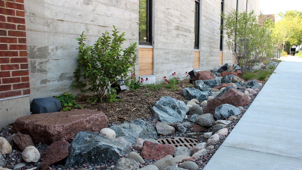 Bayview Colectivo Stormwater Site Design Feature