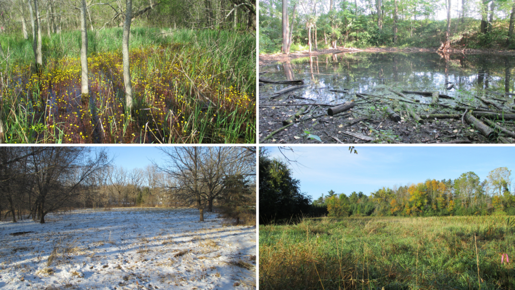 Traversing Wetlands