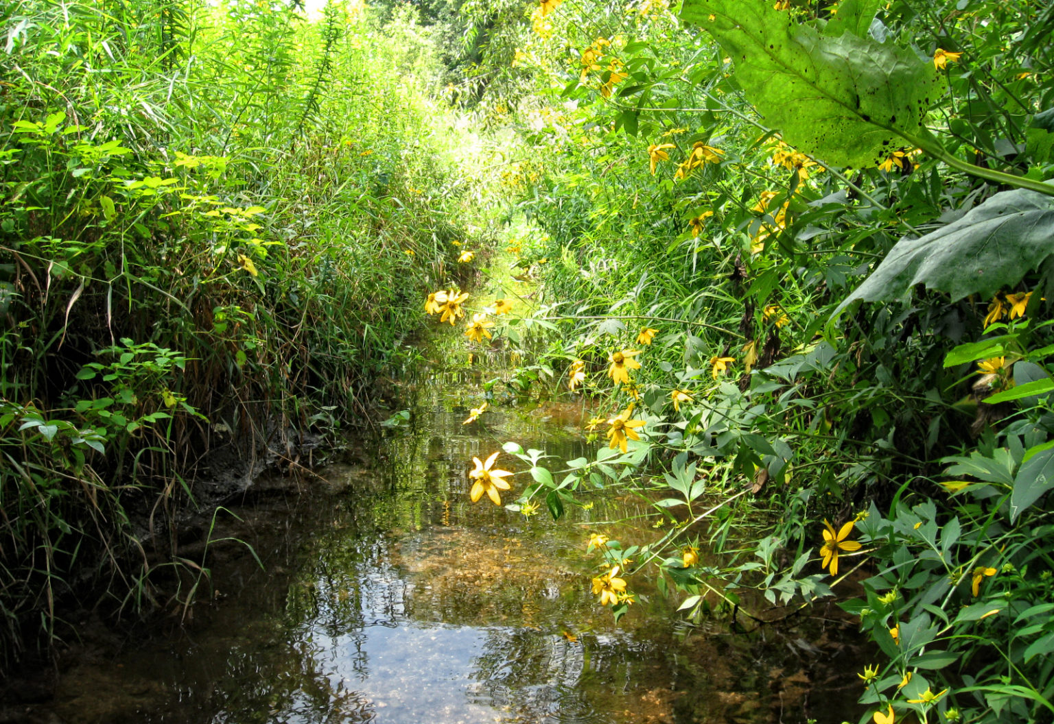 Projects Archive - raSmith