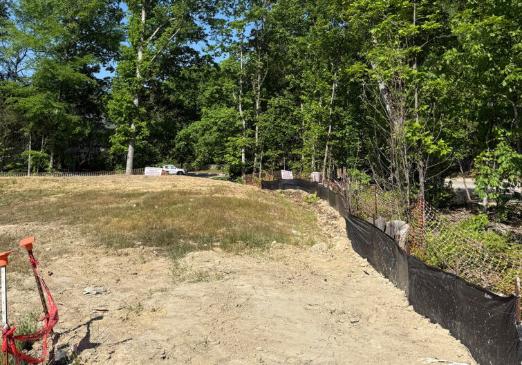 Tree with Fencing